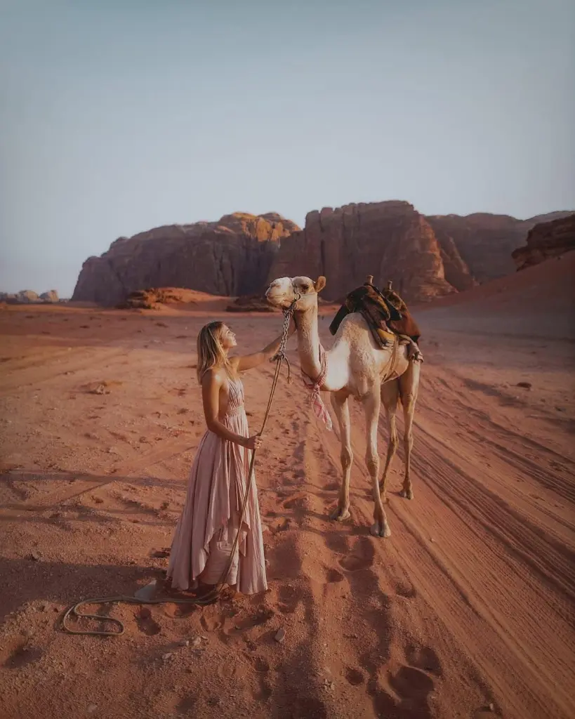 JORDANIA TESOROS DEL HACHEMITA (1).webp