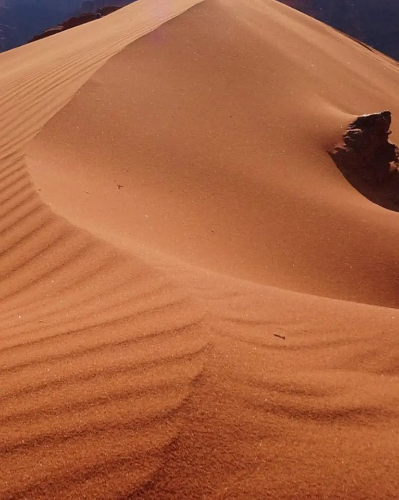 JORDANIA TESOROS DEL HACHEMITA (7).webp