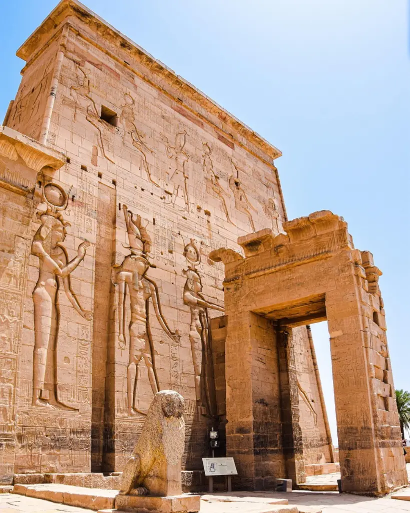 EGIPTO FAR(1).webp