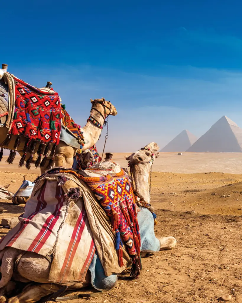 EGIPTO FAR(2).webp