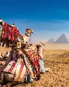 EGIPTO FAR(2).webp