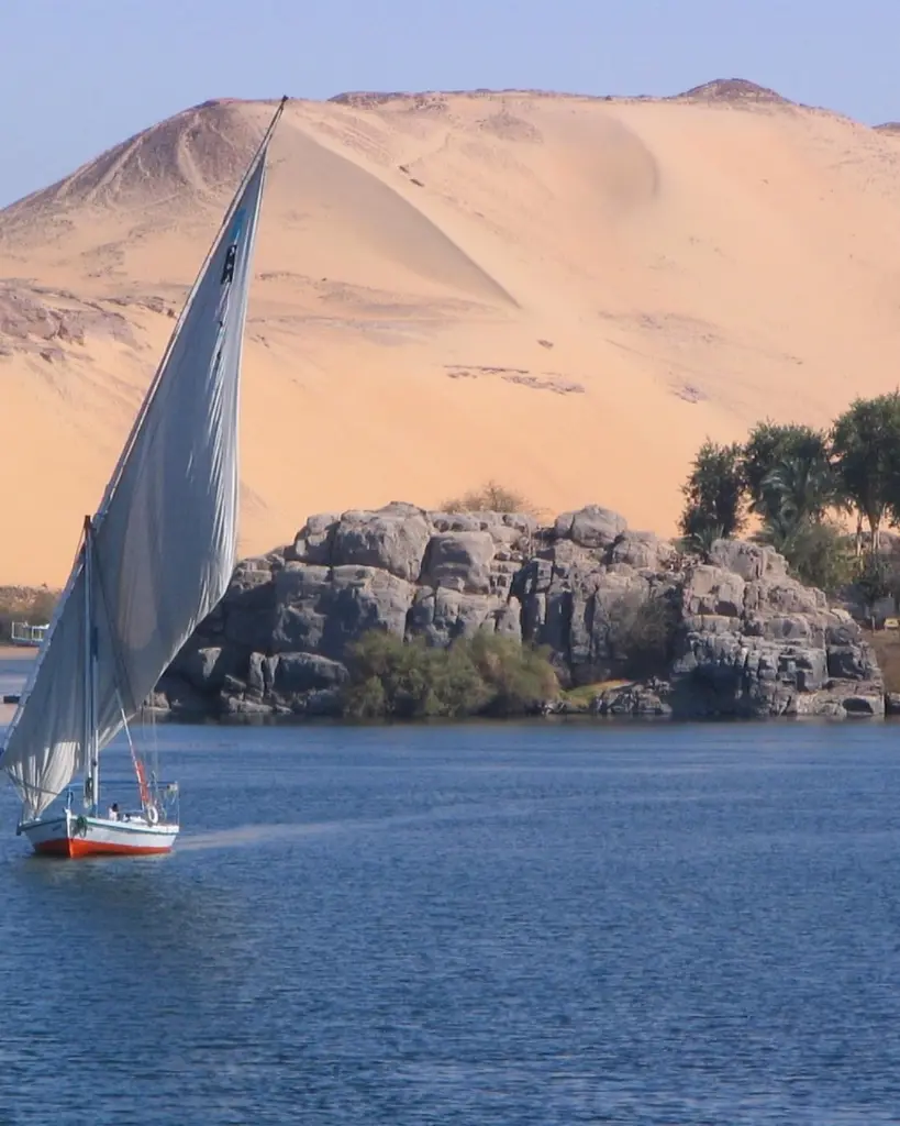 EGIPTO FAR(6).webp