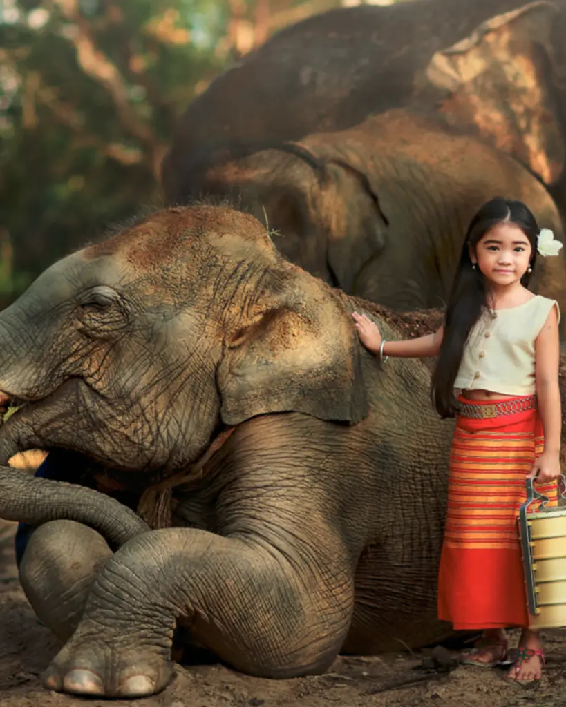 MISTERIOS DE TAILANDIA (2).webp
