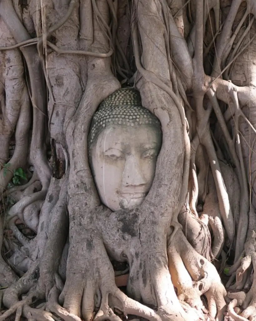 MISTERIOS DE TAILANDIA (5).webp