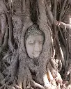 MISTERIOS DE TAILANDIA (5).webp