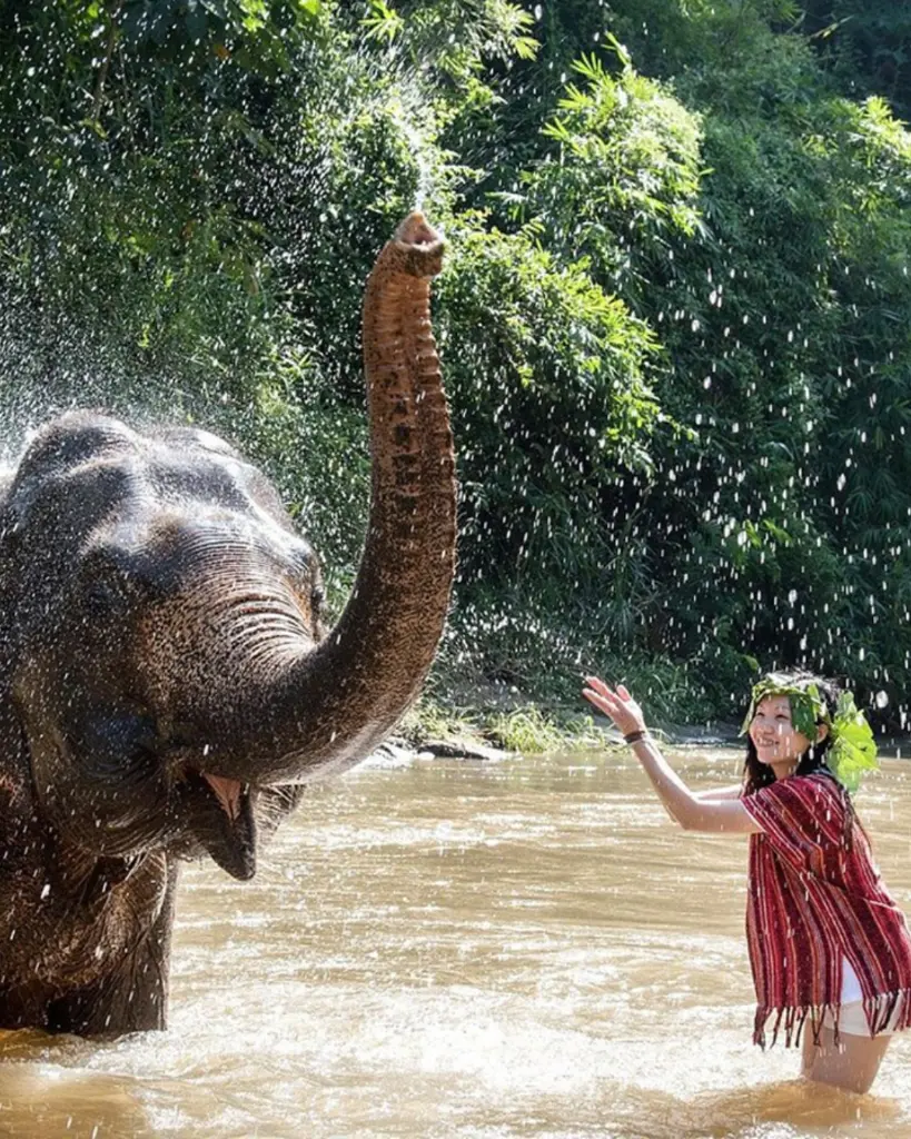 MISTERIOS DE TAILANDIA (7).webp