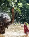 MISTERIOS DE TAILANDIA (7).webp