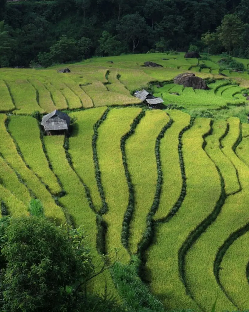 VIETNAM (3).webp