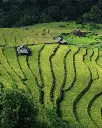 VIETNAM (3).webp