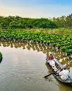 VIETNAM (8).webp