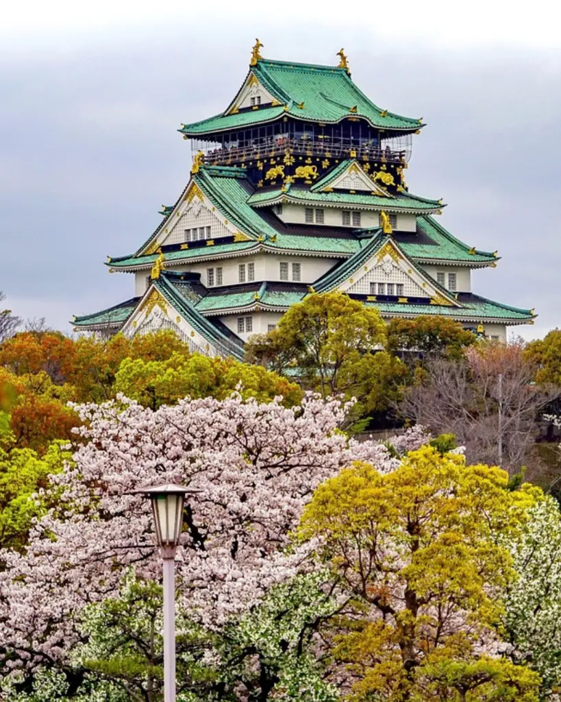 JAPÓN SAMURAI (1) .webp