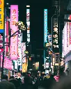 JAPÓN SAMURAI (2) .webp