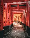 JAPÓN SAMURAI (8) .webp
