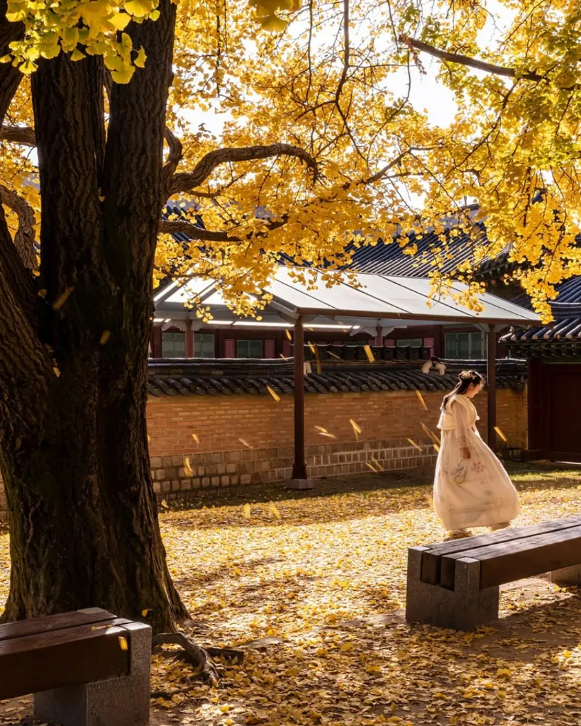 COREA DEL SUR (4).webp