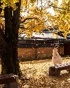 COREA DEL SUR (4).webp