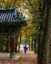 COREA DEL SUR (5).webp